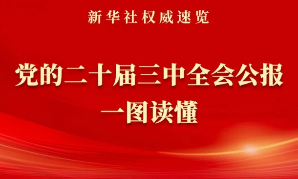 《中共中央關(guān)于進一步全面深化改革、推進中國式現(xiàn)代化的決定》一圖讀懂
