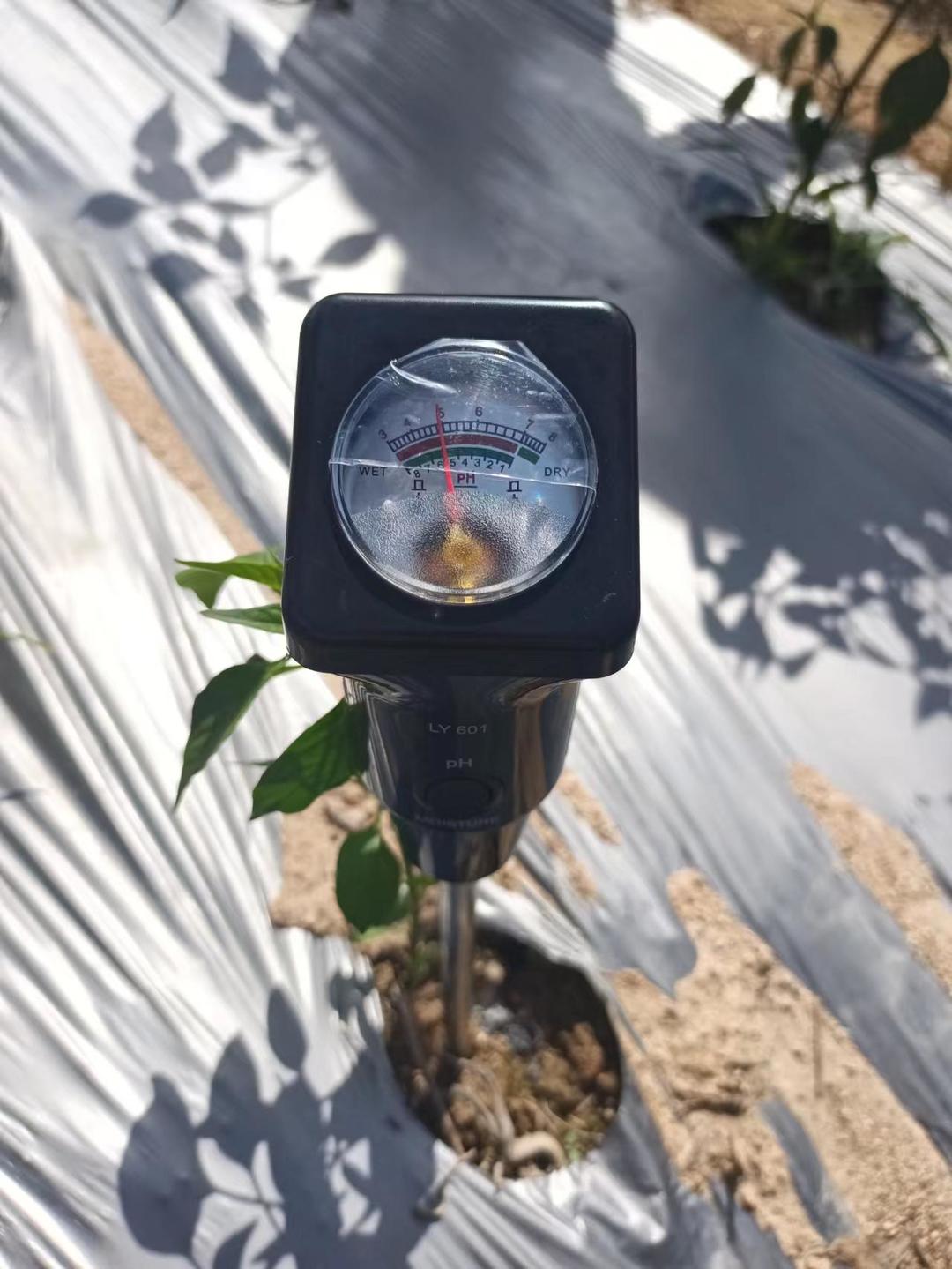 如何減少土傳病害對我們種植的影響