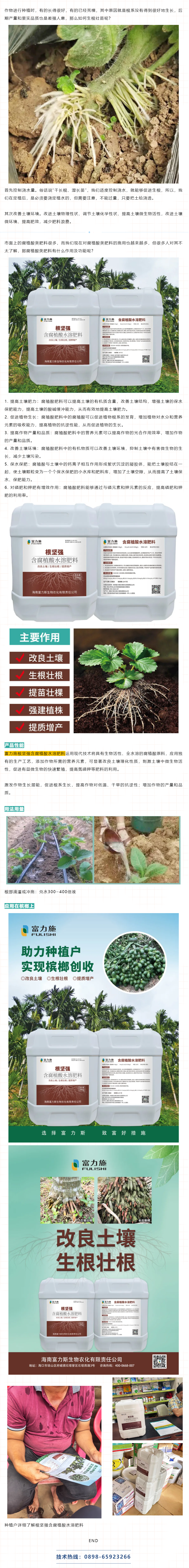 富力施根堅(jiān)強(qiáng)不僅提高土壤肥力，還促進(jìn)植物生長(zhǎng).png