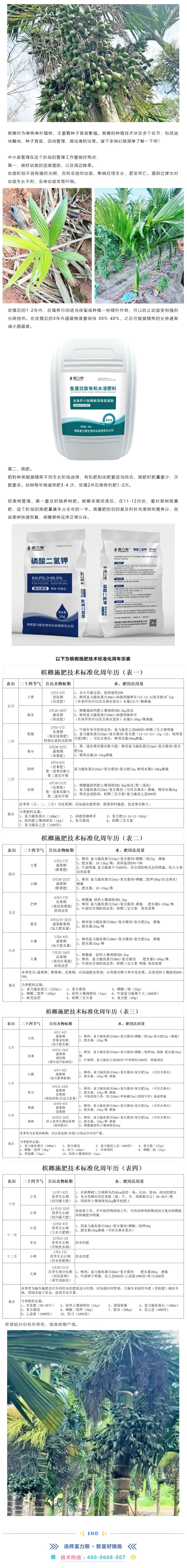 檳榔施肥技術(shù)標(biāo)準(zhǔn)化周年歷表（建議收藏）.png